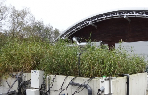 WATER AND WASTE REALITY AND CHALLENGES